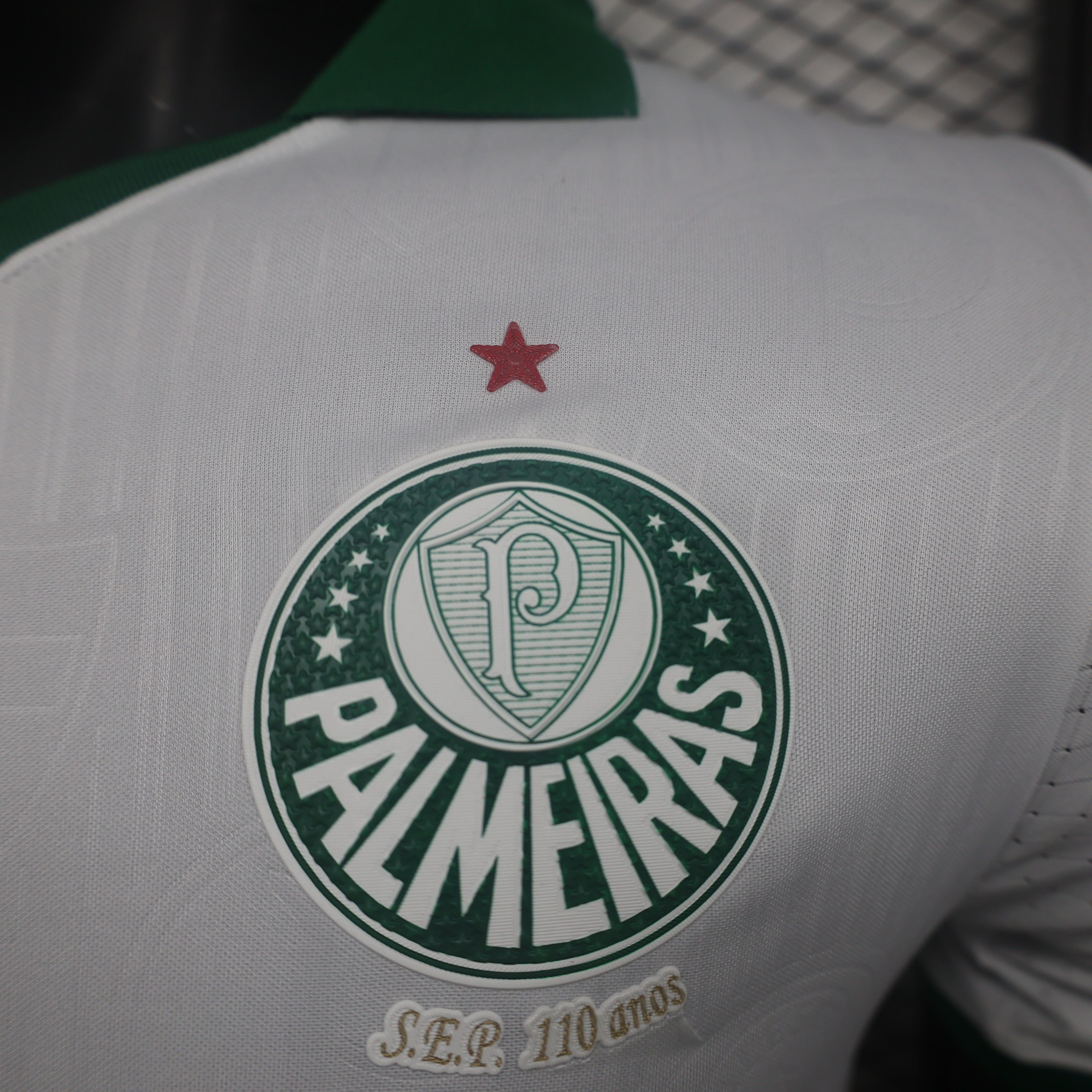 24-25 Palmeiras away player jersey